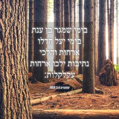 Picture 04 - שפטים 5:6 HEB - בימי שמגר בן ענת בימי יעל - Bible Verse Picture