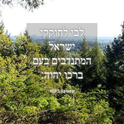 Picture 04 - שפטים 5:9 HEB - לבי לחוקקי ישראל המתנדבים - Bible Verse Picture