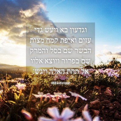 Picture 04 - שפטים 6:19 HEB - וגדעון בא ויעש גדי עזים - Bible Verse Picture