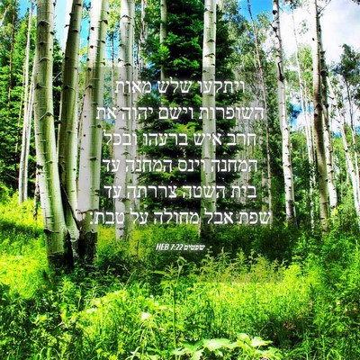 Picture 04 - שפטים 7:22 HEB - ויתקעו שלש מאות השופרות - Bible Verse Picture