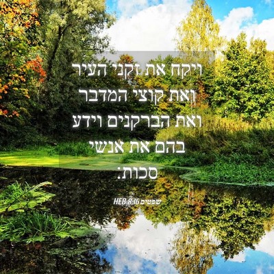 Picture 04 - שפטים 8:16 HEB - ויקח את זקני העיר ואת קוצי - Bible Verse Picture
