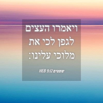 Picture 04 - שפטים 9:12 HEB - ויאמרו העצים לגפן לכי את - Bible Verse Picture