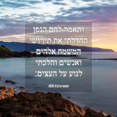 Picture 04 - שפטים 9:13 HEB - ותאמר להם הגפן החדלתי את - Bible Verse Picture