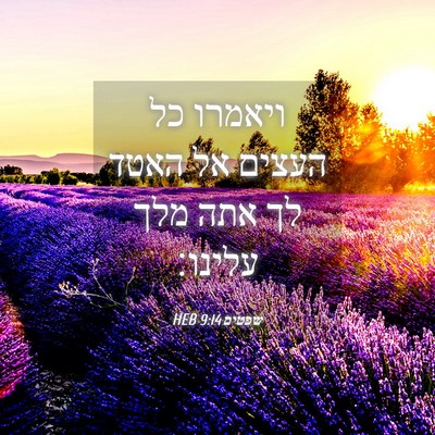 Picture 04 - שפטים 9:14 HEB - ויאמרו כל העצים אל האטד לך - Bible Verse Picture