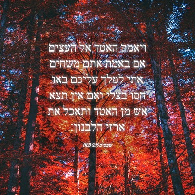 Picture 04 - שפטים 9:15 HEB - ויאמר האטד אל העצים אם באמת - Bible Verse Picture