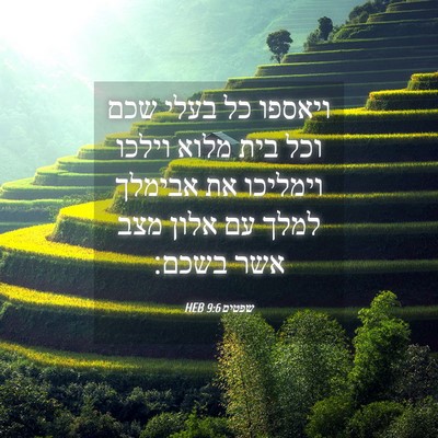 Picture 04 - שפטים 9:6 HEB - ויאספו כל בעלי שכם וכל בית - Bible Verse Picture