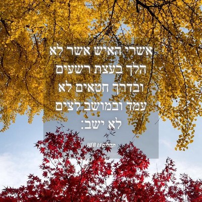 Picture 04 - תהלים 1:1 HEB - אשרי האיש אשר לא הלך בעצת - Bible Verse Picture