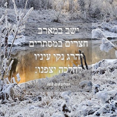 Picture 04 - תהלים 10:8 HEB - ישב במארב חצרים במסתרים - Bible Verse Picture
