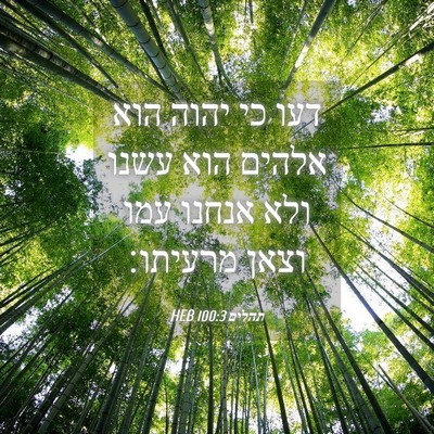Picture 04 - תהלים 100:3 HEB - דעו כי יהוה הוא אלהים הוא - Bible Verse Picture