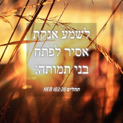 Picture 04 - תהלים 102:20 HEB - לשמע אנקת אסיר לפתח בני - Bible Verse Picture