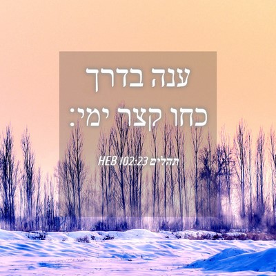 Picture 04 - תהלים 102:23 HEB - ענה בדרך כחו קצר - Bible Verse Picture