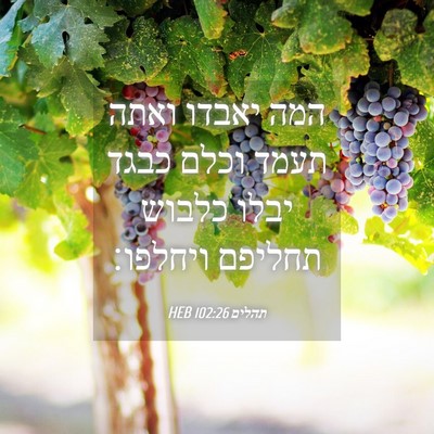 Picture 04 - תהלים 102:26 HEB - המה יאבדו ואתה תעמד וכלם - Bible Verse Picture