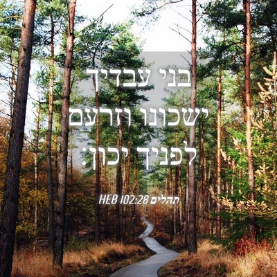 Picture 04 - תהלים 102:28 HEB - בני עבדיך ישכונו וזרעם - Bible Verse Picture