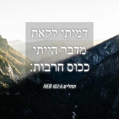 Picture 04 - תהלים 102:6 HEB - דמיתי לקאת מדבר הייתי ככוס - Bible Verse Picture