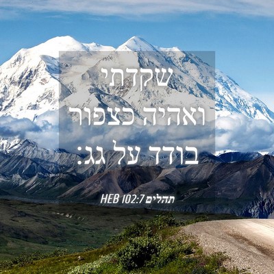 Picture 04 - תהלים 102:7 HEB - שקדתי ואהיה כצפור בודד על - Bible Verse Picture