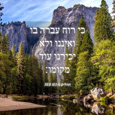 Picture 04 - תהלים 103:16 HEB - כי רוח עברה בו ואיננו ולא - Bible Verse Picture