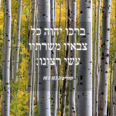 Picture 04 - תהלים 103:21 HEB - ברכו יהוה כל צבאיו משרתיו - Bible Verse Picture