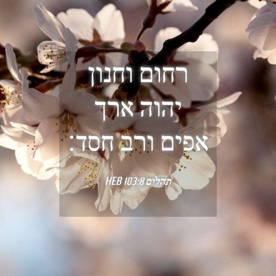 Picture 04 - תהלים 103:8 HEB - רחום וחנון יהוה ארך אפים - Bible Verse Picture