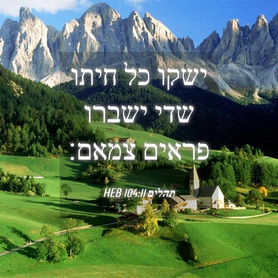 Picture 04 - תהלים 104:11 HEB - ישקו כל חיתו שדי ישברו - Bible Verse Picture