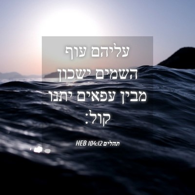 Picture 04 - תהלים 104:12 HEB - עליהם עוף השמים ישכון מבין - Bible Verse Picture
