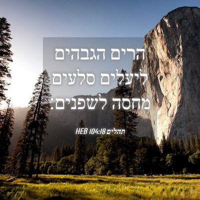 Picture 04 - תהלים 104:18 HEB - הרים הגבהים ליעלים סלעים - Bible Verse Picture