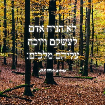 Picture 04 - תהלים 105:14 HEB - לא הניח אדם לעשקם ויוכח - Bible Verse Picture