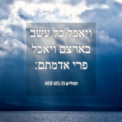 Picture 04 - תהלים 105:35 HEB - ויאכל כל עשב בארצם ויאכל - Bible Verse Picture