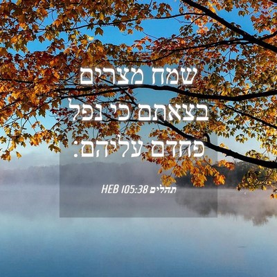 Picture 04 - תהלים 105:38 HEB - שמח מצרים בצאתם כי נפל פחדם - Bible Verse Picture