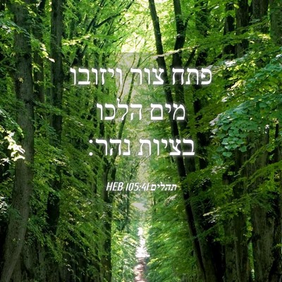 Picture 04 - תהלים 105:41 HEB - פתח צור ויזובו מים הלכו - Bible Verse Picture