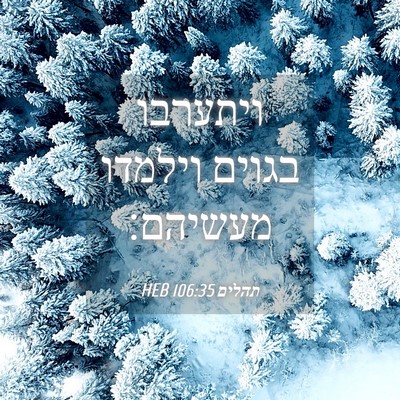 Picture 04 - תהלים 106:35 HEB - ויתערבו בגוים וילמדו - Bible Verse Picture