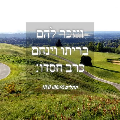 Picture 04 - תהלים 106:45 HEB - ויזכר להם בריתו וינחם כרב - Bible Verse Picture