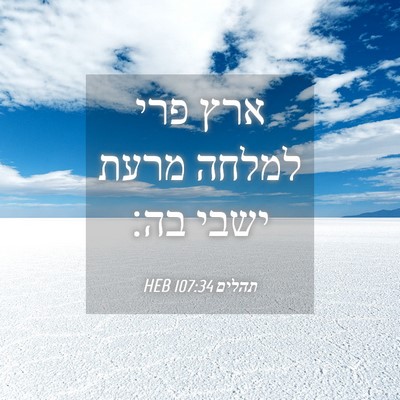 Picture 04 - תהלים 107:34 HEB - ארץ פרי למלחה מרעת ישבי - Bible Verse Picture