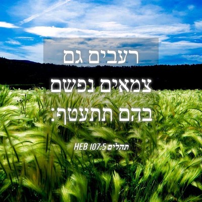 Picture 04 - תהלים 107:5 HEB - רעבים גם צמאים נפשם בהם - Bible Verse Picture