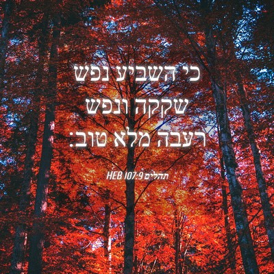 Picture 04 - תהלים 107:9 HEB - כי השביע נפש שקקה ונפש רעבה - Bible Verse Picture