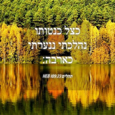 Picture 04 - תהלים 109:23 HEB - כצל כנטותו נהלכתי ננערתי - Bible Verse Picture