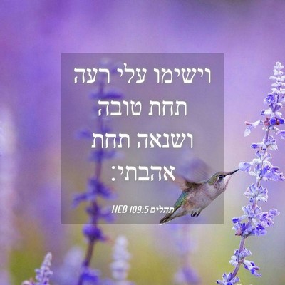 Picture 04 - תהלים 109:5 HEB - וישימו עלי רעה תחת טובה - Bible Verse Picture