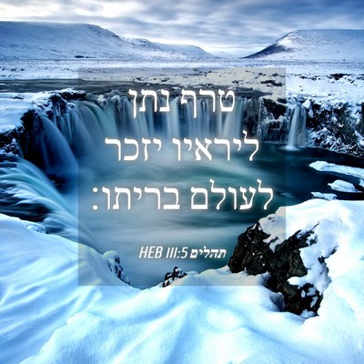 Picture 04 - תהלים 111:5 HEB - טרף נתן ליראיו יזכר לעולם - Bible Verse Picture