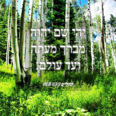 Picture 04 - תהלים 113:2 HEB - יהי שם יהוה מברך מעתה ועד - Bible Verse Picture