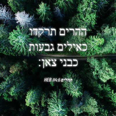 Picture 04 - תהלים 114:6 HEB - ההרים תרקדו כאילים גבעות - Bible Verse Picture