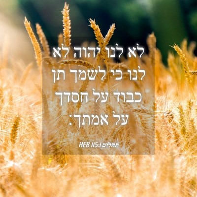 Picture 04 - תהלים 115:1 HEB - לא לנו יהוה לא לנו כי לשמך - Bible Verse Picture