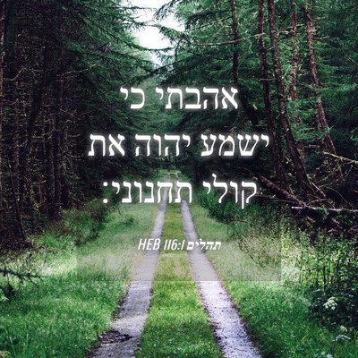 Picture 04 - תהלים 116:1 HEB - אהבתי כי ישמע יהוה את קולי - Bible Verse Picture