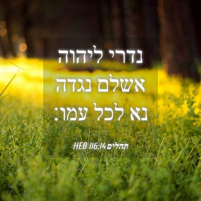 Picture 04 - תהלים 116:14 HEB - נדרי ליהוה אשלם נגדה נא לכל - Bible Verse Picture
