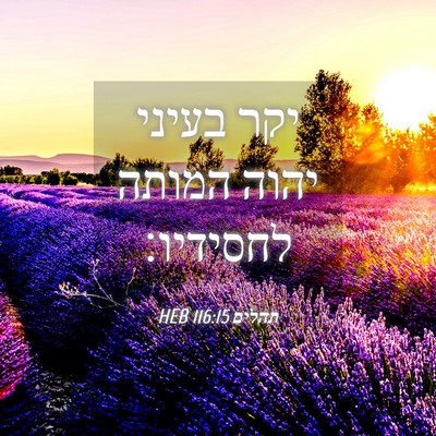 Picture 04 - תהלים 116:15 HEB - יקר בעיני יהוה המותה - Bible Verse Picture