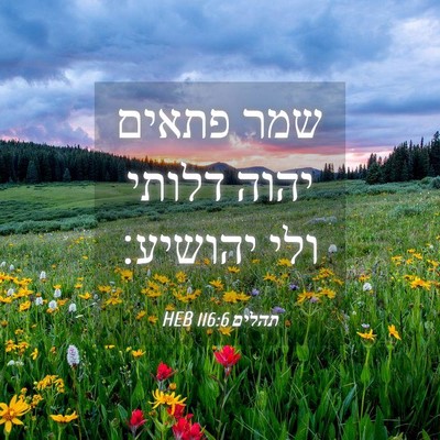 Picture 04 - תהלים 116:6 HEB - שמר פתאים יהוה דלותי ולי - Bible Verse Picture