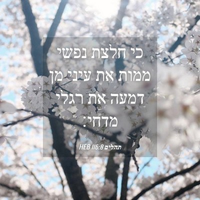 Picture 04 - תהלים 116:8 HEB - כי חלצת נפשי ממות את עיני - Bible Verse Picture