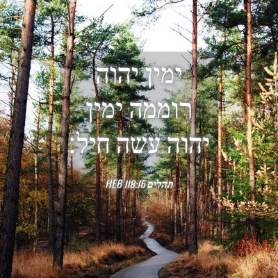 Picture 04 - תהלים 118:16 HEB - ימין יהוה רוממה ימין יהוה - Bible Verse Picture