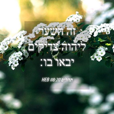 Picture 04 - תהלים 118:20 HEB - זה השער ליהוה צדיקים יבאו - Bible Verse Picture