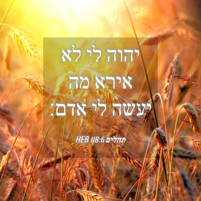 Picture 04 - תהלים 118:6 HEB - יהוה לי לא אירא מה יעשה לי - Bible Verse Picture