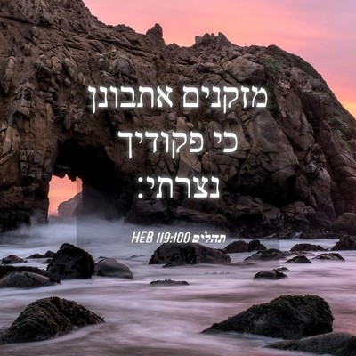 Picture 04 - תהלים 119:100 HEB - מזקנים אתבונן כי פקודיך - Bible Verse Picture