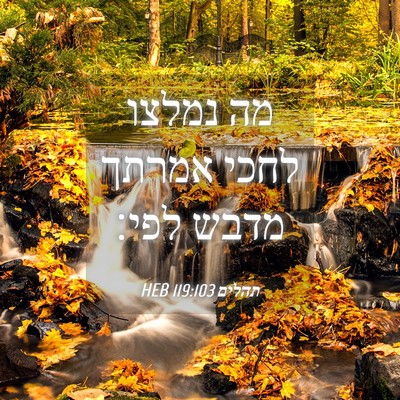 Picture 04 - תהלים 119:103 HEB - מה נמלצו לחכי אמרתך מדבש - Bible Verse Picture